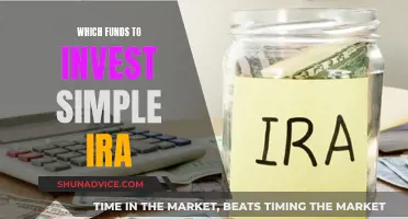 Best Funds to Invest in Your Simple IRA