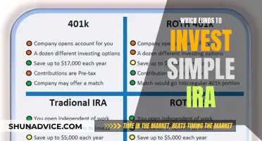 Best Funds to Invest in Your Simple IRA