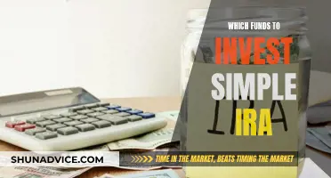 Best Funds to Invest in Your Simple IRA