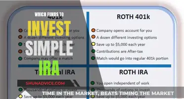 Best Funds to Invest in Your Simple IRA