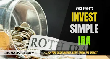 Best Funds to Invest in Your Simple IRA