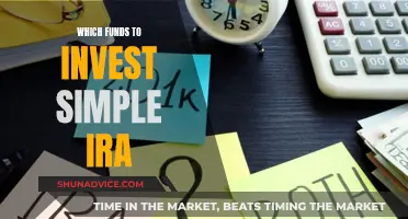 Best Funds to Invest in Your Simple IRA