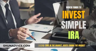 Best Funds to Invest Your Simple IRA In