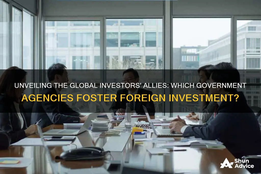 which government agencies promote foreign investment