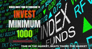 Best Vanguard Index Funds to Invest $1000 Minimum