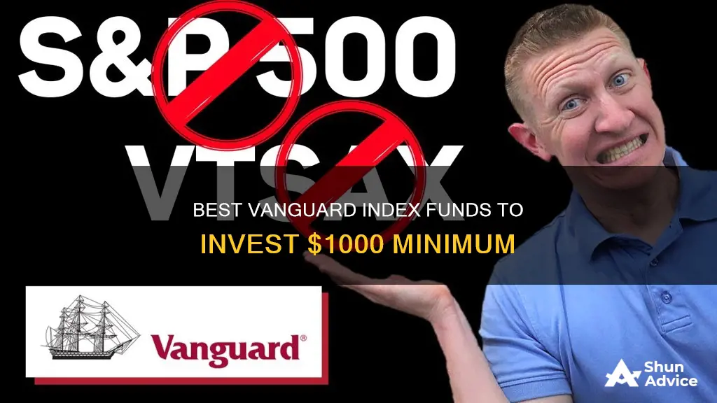 which index fund in vanguard to invest minimum 1000