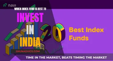 Best Index Funds to Invest in India: A Guide