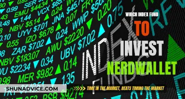 Best Index Funds to Invest in: A NerdWallet Guide