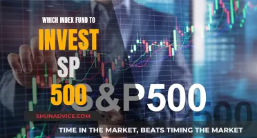 SP 500 Index Funds: A Smart Investment Choice