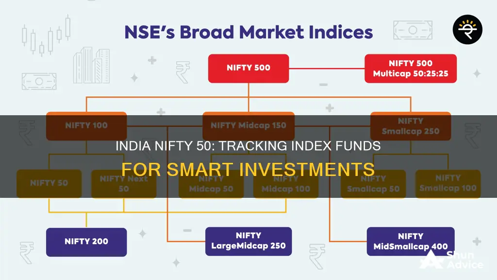 which indexes have an india nifty 50 investment