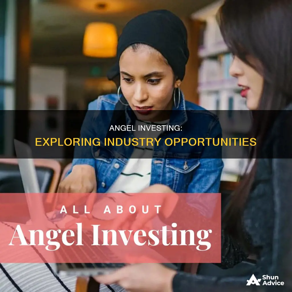 which industries use angel investing