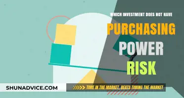 Safe Haven: Investment Strategies Without Purchasing Power Risk