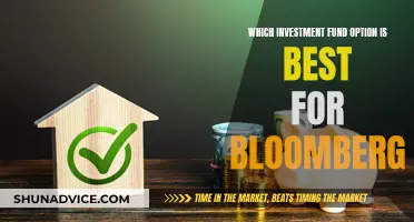 Bloomberg's Best Investment Fund Options: Where to Start?