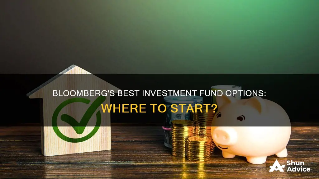 which investment fund option is best for bloomberg