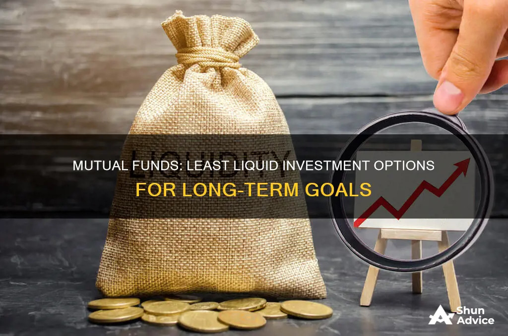 which investment has the least liquidity mutual fund