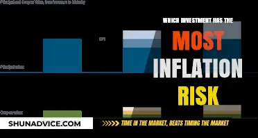 Navigating Inflation: Uncovering the Most Vulnerable Investments