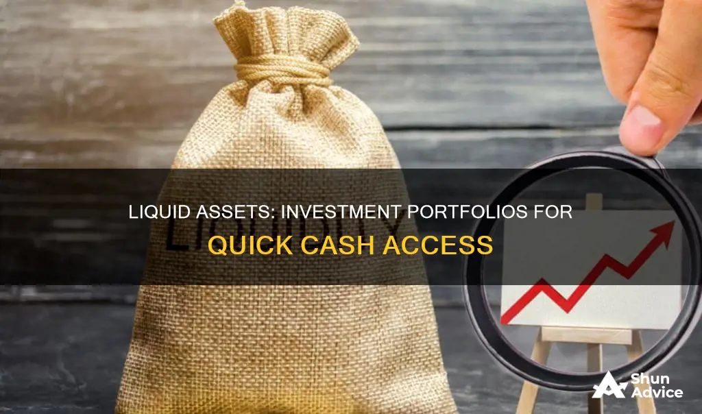 which investment portfolio is the most liquid