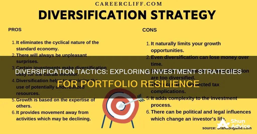 which investment strategy will increase the diversification of your portfolio