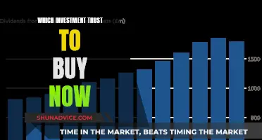 Investment Trust Strategies: Navigating the Buy Options