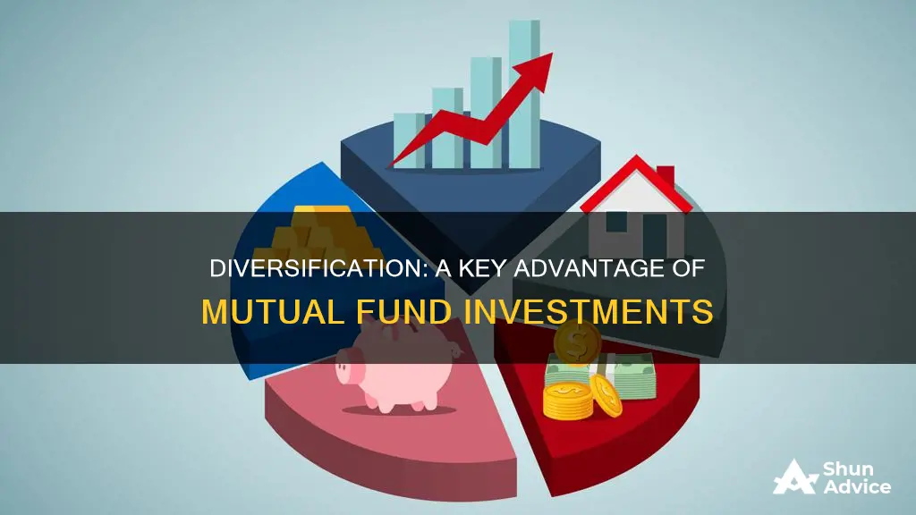 which is an advantage of investing in a mutual fund