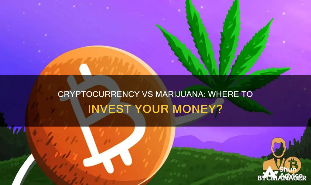 which is better cryptocurrency or marijuana investments