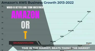 Amazon vs. Tesla: Long-Term Investment Showdown