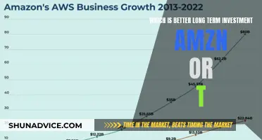 Amazon vs. Tesla: Long-Term Investment Showdown