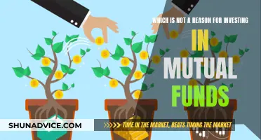 Mutual Funds: Not a Get-Rich-Quick Scheme