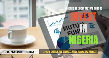 Best Mutual Funds to Invest in Nigeria