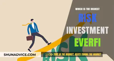 Unveiling the Ultimate Risk: Highest Investment Everfi Explored