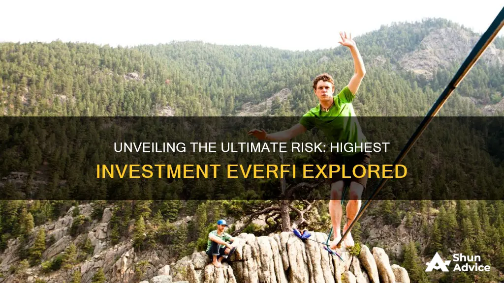 which is the highest risk investment everfi