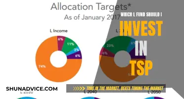 TSP L Funds: Choosing the Right Investment for You