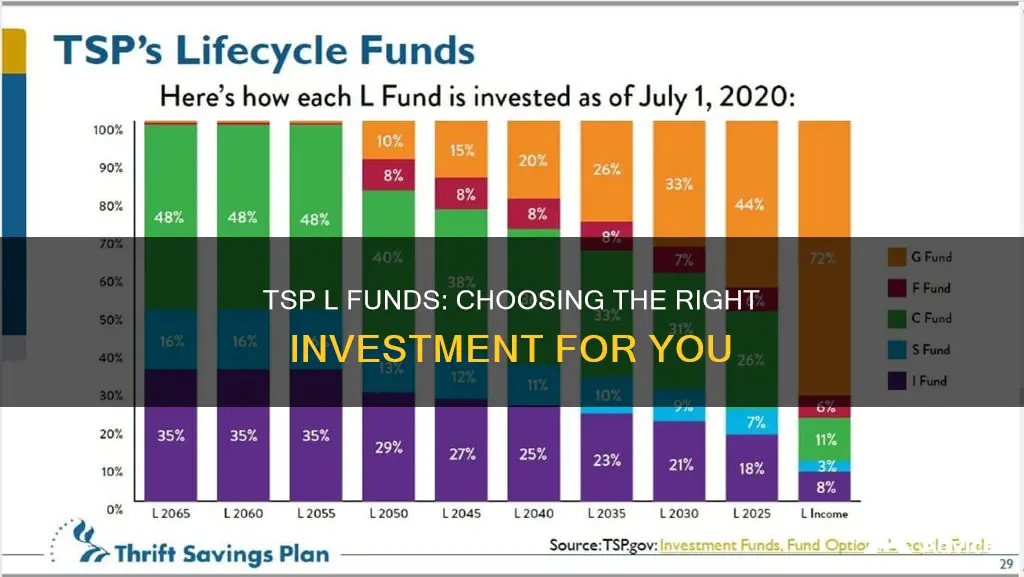 which l fund should I invest in tsp