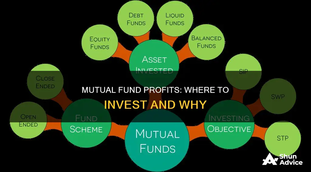 which mutual fund gets what prifit invest in