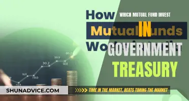 Mutual Funds: Investing in Government Treasury