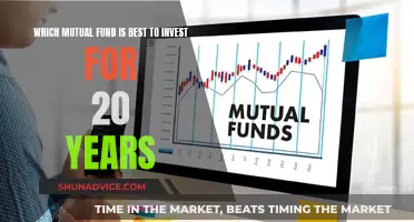 Best Mutual Funds for Long-Term Investment Horizons