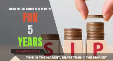 Mutual Funds: Best 5-Year Investment Options