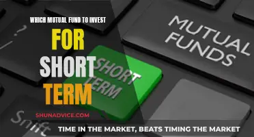 Best Mutual Funds for Short-Term Investments