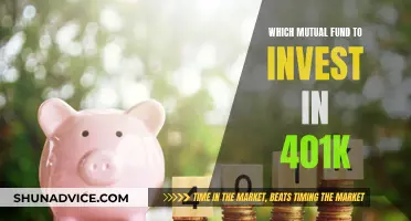 Mutual Fund Investment Strategies for Your 401(k) Plan