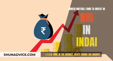 Mutual Funds for NRIs: Best Indian Investment Options