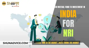 Mutual Fund Investment Guide for NRIs in India