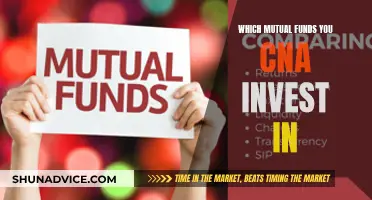 Best Mutual Funds to Invest in This Year