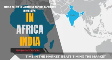 India's Strategic Investments in Africa: Rapid Expansion