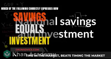 Savings, Investment, and Their Intricate Balance Sheet Equation