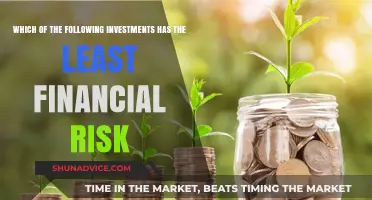 The Safest Bet: Uncovering the Least Risky Investment Option