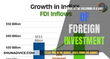 Unveiling the Hidden Costs: Navigating Foreign Investment's Price Tag