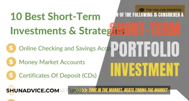 Understanding the Difference: Short-Term Portfolio Investments