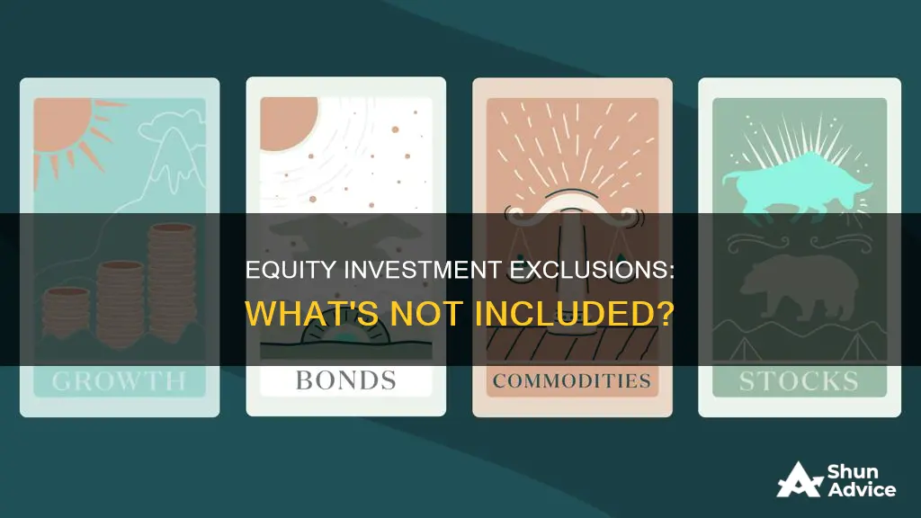 which of the following is not an equity investment