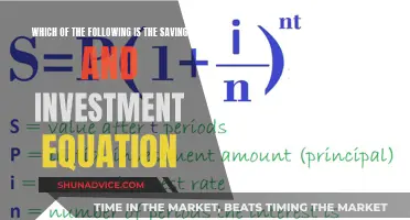 Savings and Investments: Equation for Financial Success