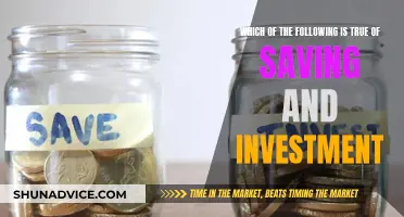 Saving and Investment: Synergistic Strategies for Financial Growth